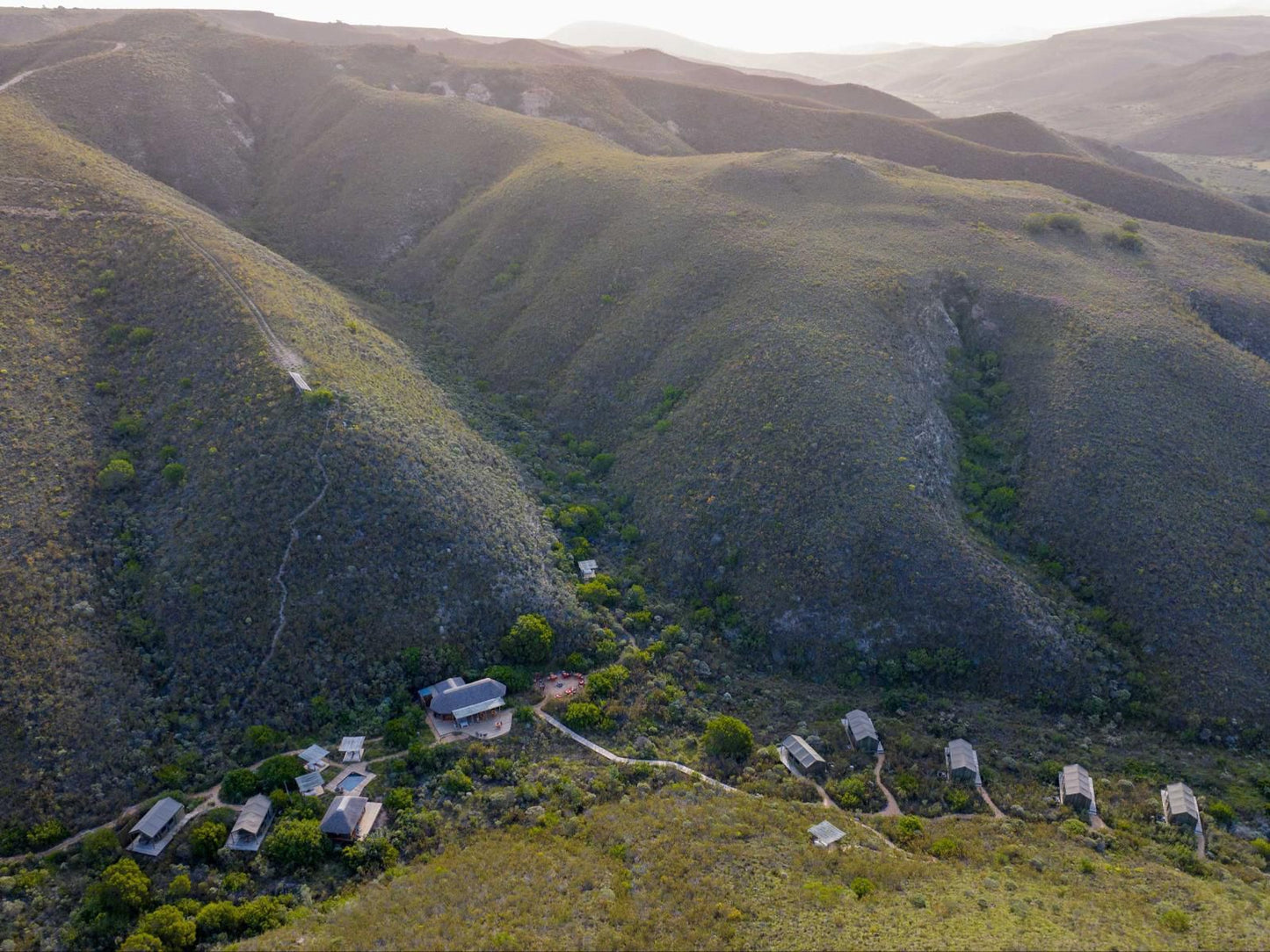 Gondwana Game Reserve Mossdustria Mossel Bay Western Cape South Africa Highland, Nature