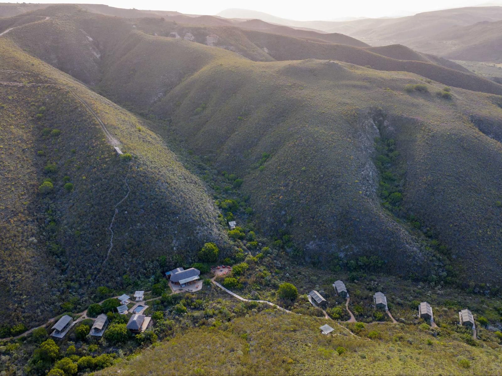 Gondwana Game Reserve Mossdustria Mossel Bay Western Cape South Africa Highland, Nature