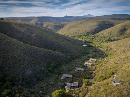 Gondwana Game Reserve Mossdustria Mossel Bay Western Cape South Africa Highland, Nature