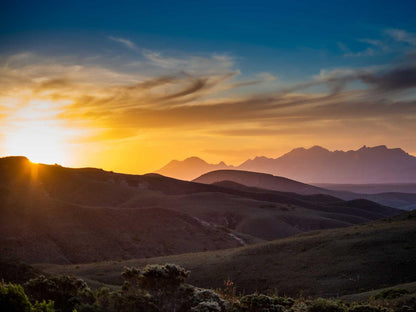 Gondwana Game Reserve Mossdustria Mossel Bay Western Cape South Africa Sky, Nature, Sunset