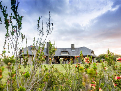 Gondwana Game Reserve Mossdustria Mossel Bay Western Cape South Africa Complementary Colors, Building, Architecture, House, Garden, Nature, Plant