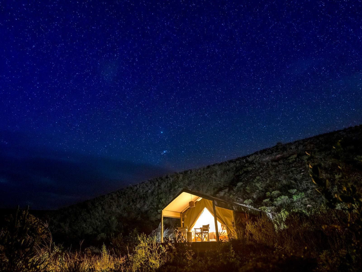 Gondwana Game Reserve Mossdustria Mossel Bay Western Cape South Africa Colorful, Night Sky, Nature, Polar Lights