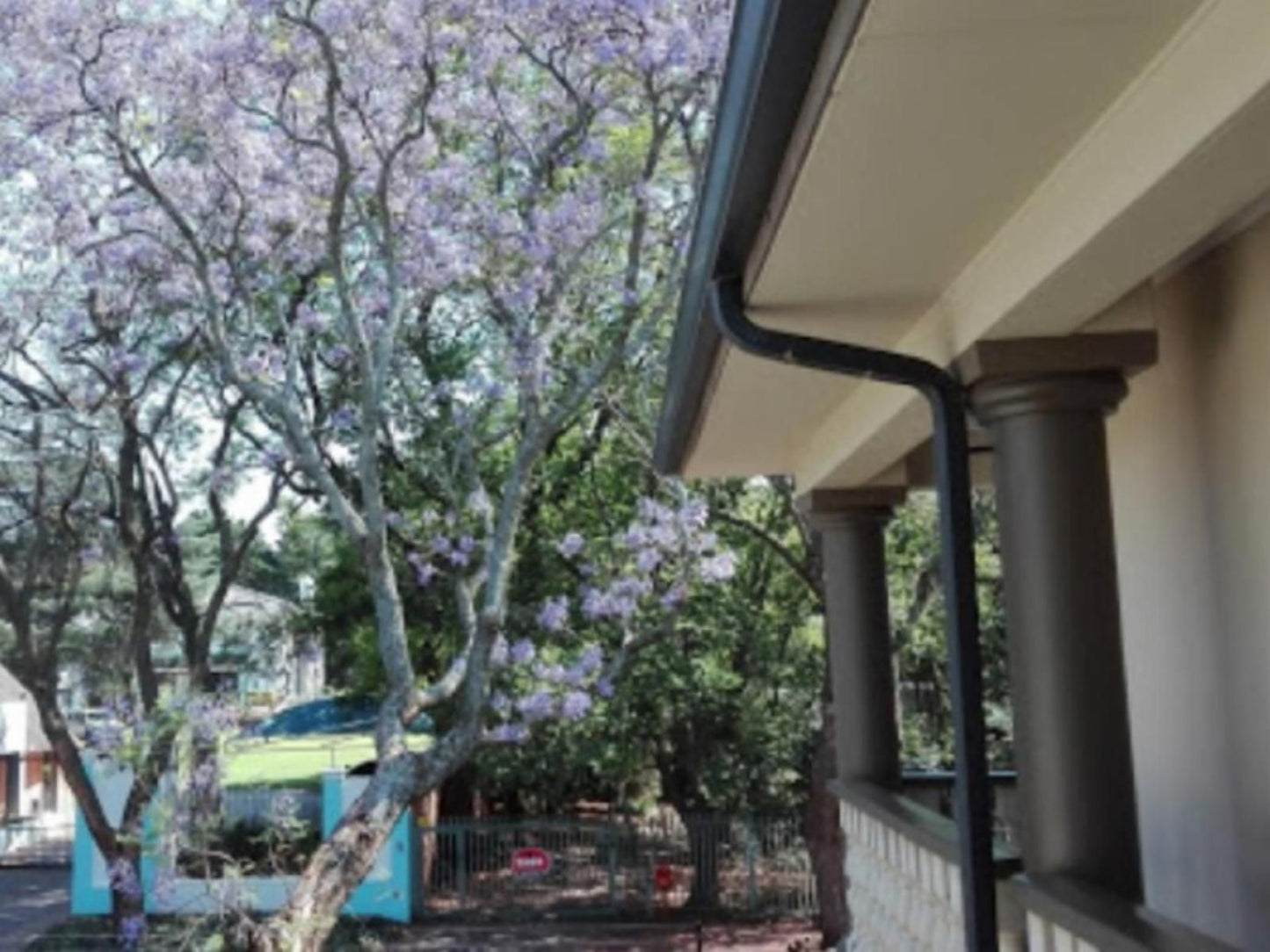 Goodey S Guesthouse Colbyn Pretoria Tshwane Gauteng South Africa Unsaturated, Blossom, Plant, Nature