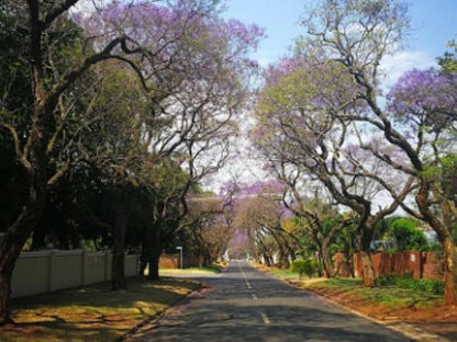 Goodey S Guesthouse Colbyn Pretoria Tshwane Gauteng South Africa Blossom, Plant, Nature