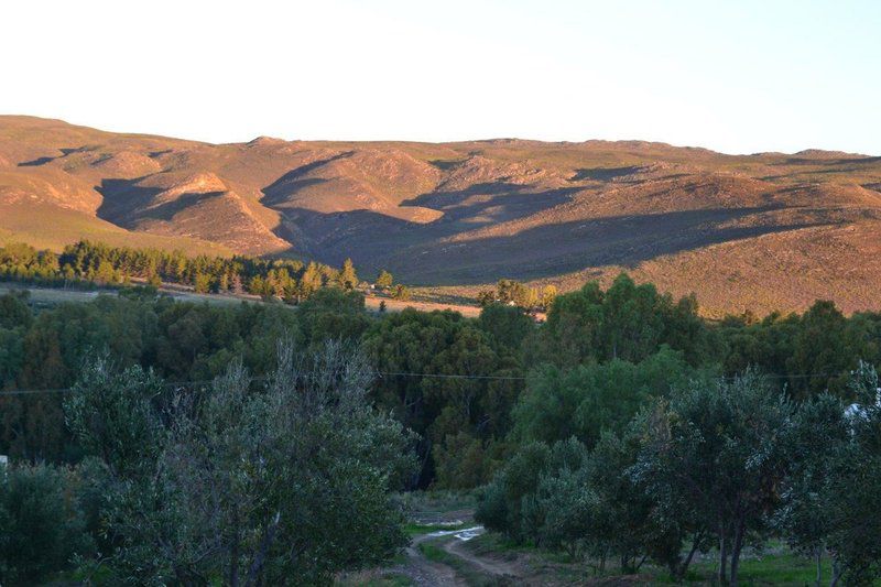 Gooding S Country House Stormsvlei Western Cape South Africa Nature