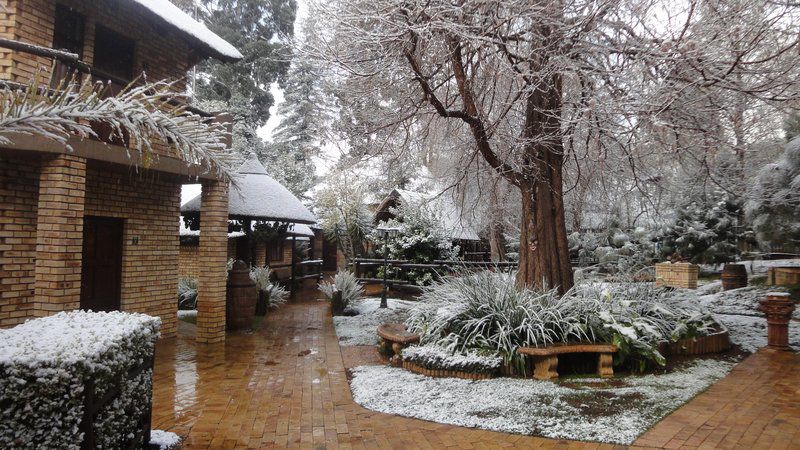 1 Goodnight Guest Lodge Bedfordview Johannesburg Gauteng South Africa Cabin, Building, Architecture, Infrared, Nature