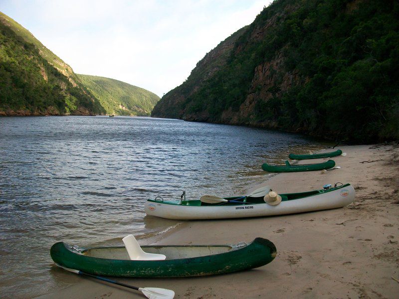 Goose Valley Ll3 Goose Valley Golf Estate Plettenberg Bay Western Cape South Africa Boat, Vehicle, Canoe, Highland, Nature