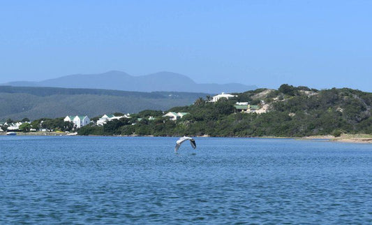 Goose Valley Ff5 Goose Valley Golf Estate Plettenberg Bay Western Cape South Africa Beach, Nature, Sand