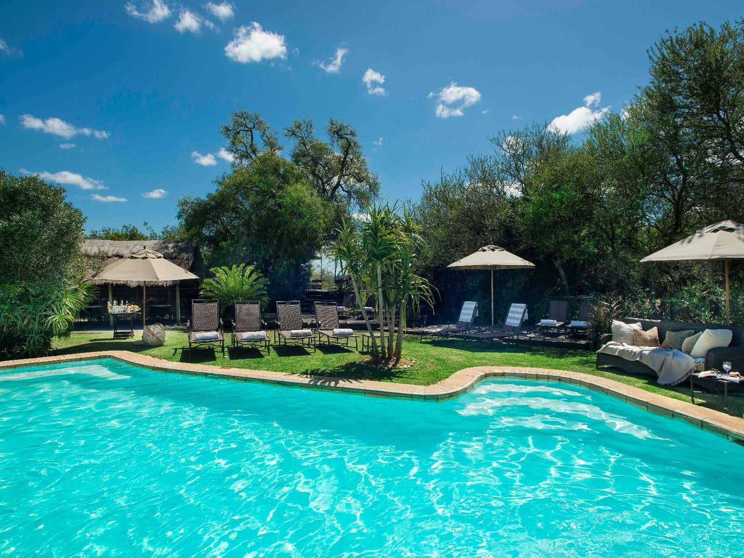 Gorah Elephant Camp Addo Elephant National Park Eastern Cape South Africa Swimming Pool