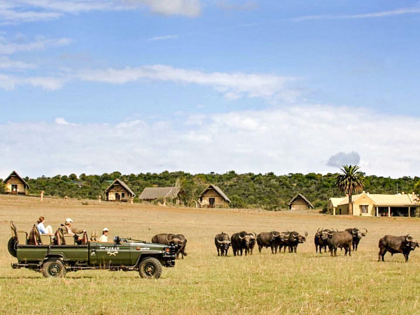 Gorah Elephant Camp Addo Elephant National Park Eastern Cape South Africa Complementary Colors, Colorful