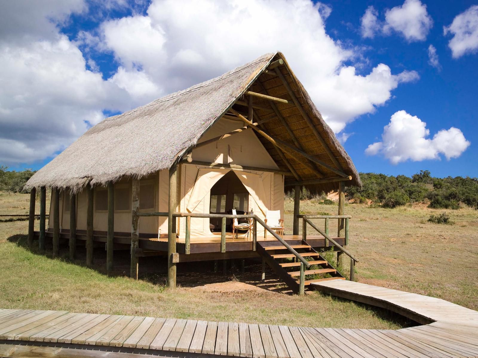 Gorah Elephant Camp Addo Elephant National Park Eastern Cape South Africa Complementary Colors