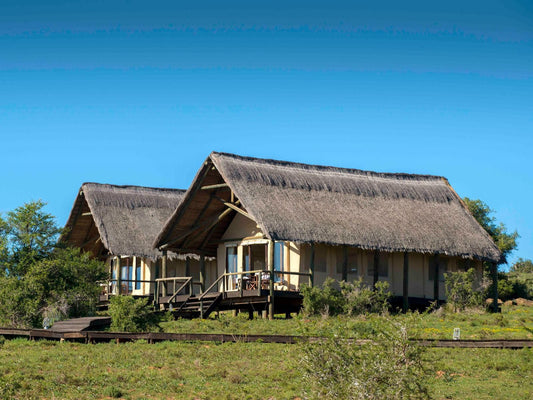 Gorah Elephant Camp Addo Elephant National Park Eastern Cape South Africa Complementary Colors, Building, Architecture