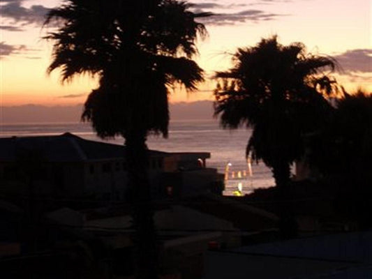 Goulden Street Guest House Quigney East London Eastern Cape South Africa Beach, Nature, Sand, Palm Tree, Plant, Wood, Sunset, Sky