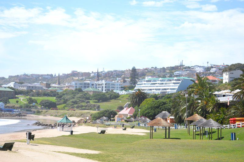 Gouriqua Mossel Bay Western Cape South Africa Beach, Nature, Sand, Palm Tree, Plant, Wood