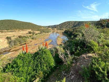 Gourits River Guest Farm Albertinia Western Cape South Africa Complementary Colors, River, Nature, Waters