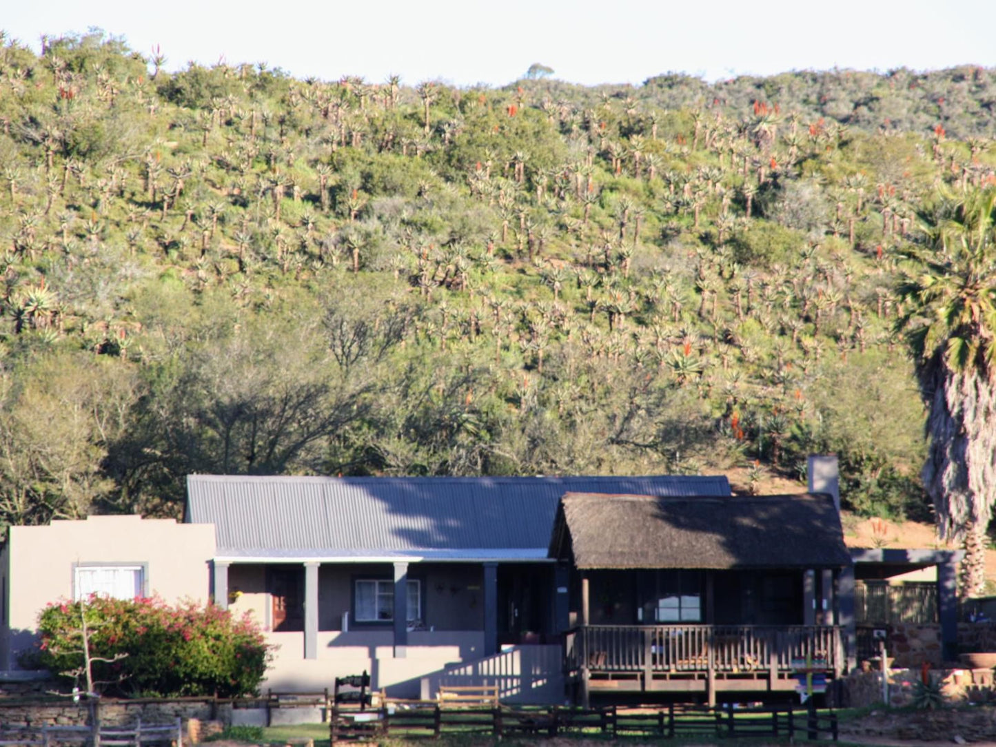 Gourits River Guest Farm Albertinia Western Cape South Africa 