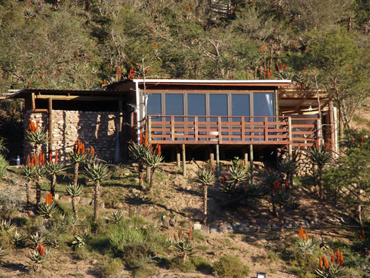 Glamping Cabin Lodge @ Gourits River Guest Farm