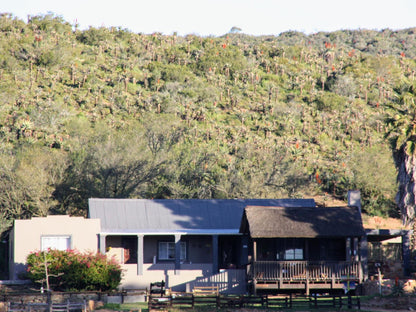 Guest House @ Gourits River Guest Farm