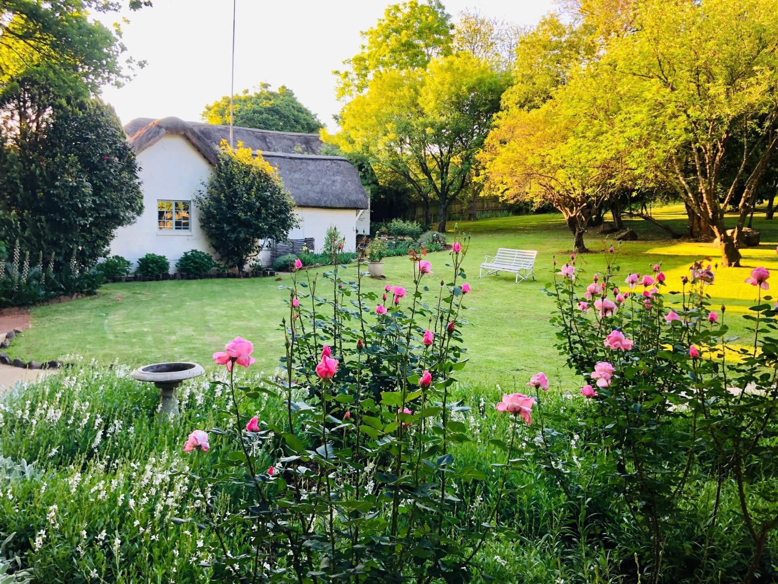 Gowan Valley Guest Farm Balgowan Kwazulu Natal South Africa House, Building, Architecture, Meadow, Nature, Plant, Garden