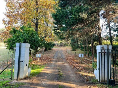 Gowan Valley Guest Farm Balgowan Kwazulu Natal South Africa Plant, Nature, Tree, Wood, Autumn