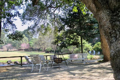 Gowan Valley Guest Farm Balgowan Kwazulu Natal South Africa Pavilion, Architecture, Tree, Plant, Nature, Wood, Garden