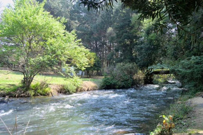 Gowan Valley Guest Farm Balgowan Kwazulu Natal South Africa River, Nature, Waters, Tree, Plant, Wood