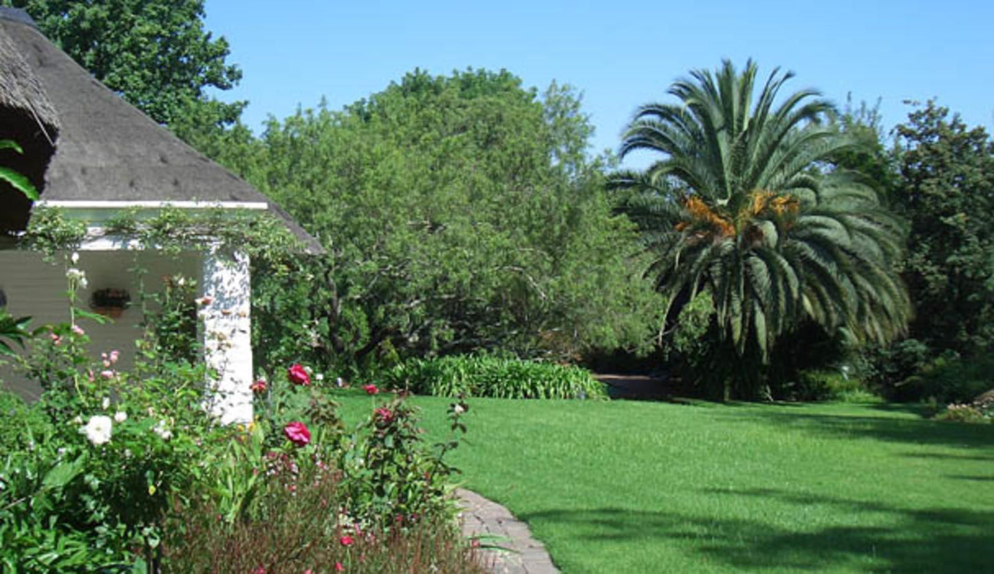 Grace Guest House Bryanston Johannesburg Gauteng South Africa Palm Tree, Plant, Nature, Wood, Garden