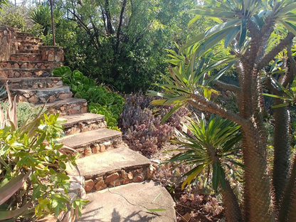 Grace Place Bnb Magalieskruin Pretoria Tshwane Gauteng South Africa Plant, Nature, Stairs, Architecture, Garden