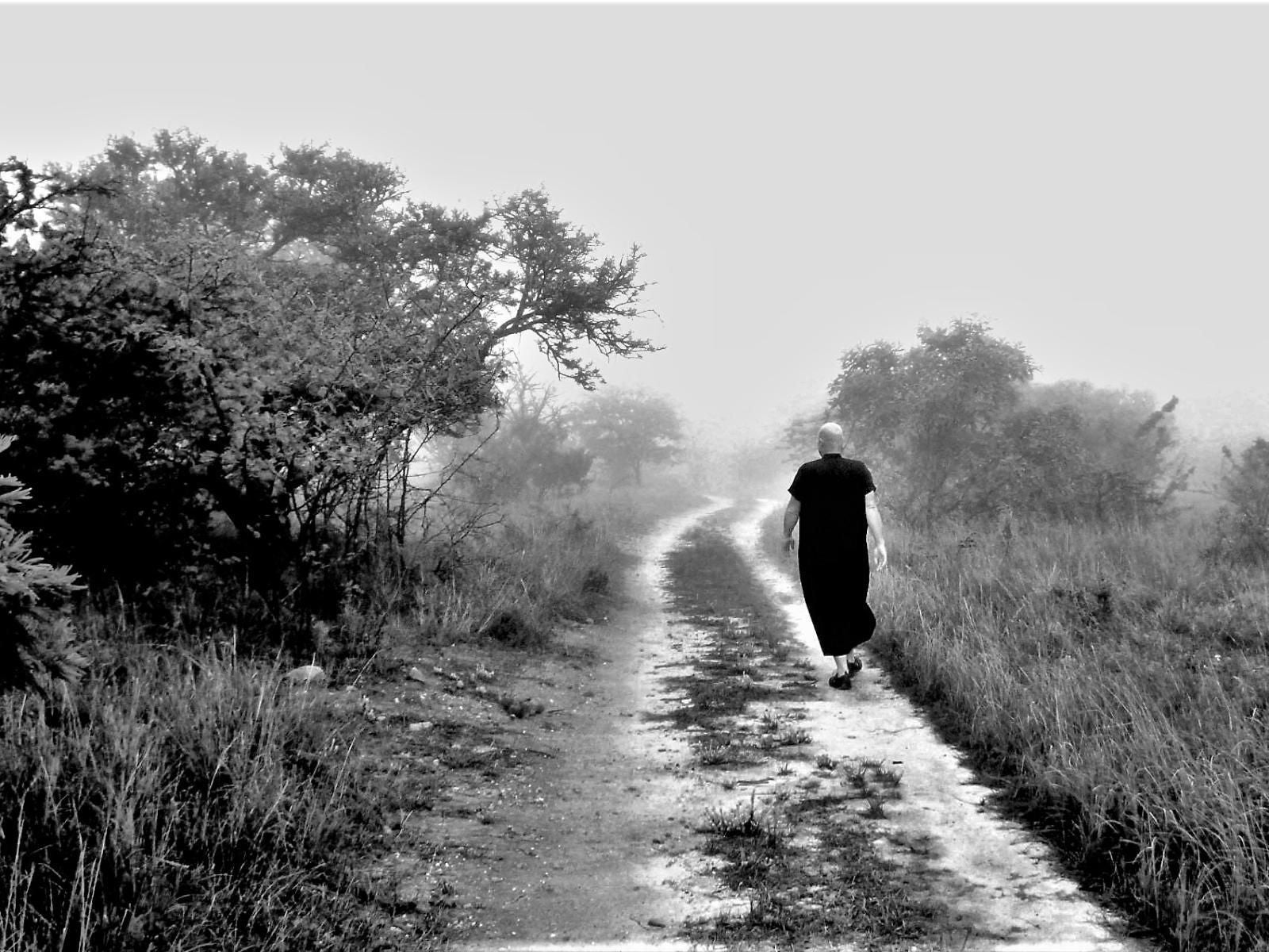 Graceland Eco Retreat, Colorless, Black and White, Silhouette, Person