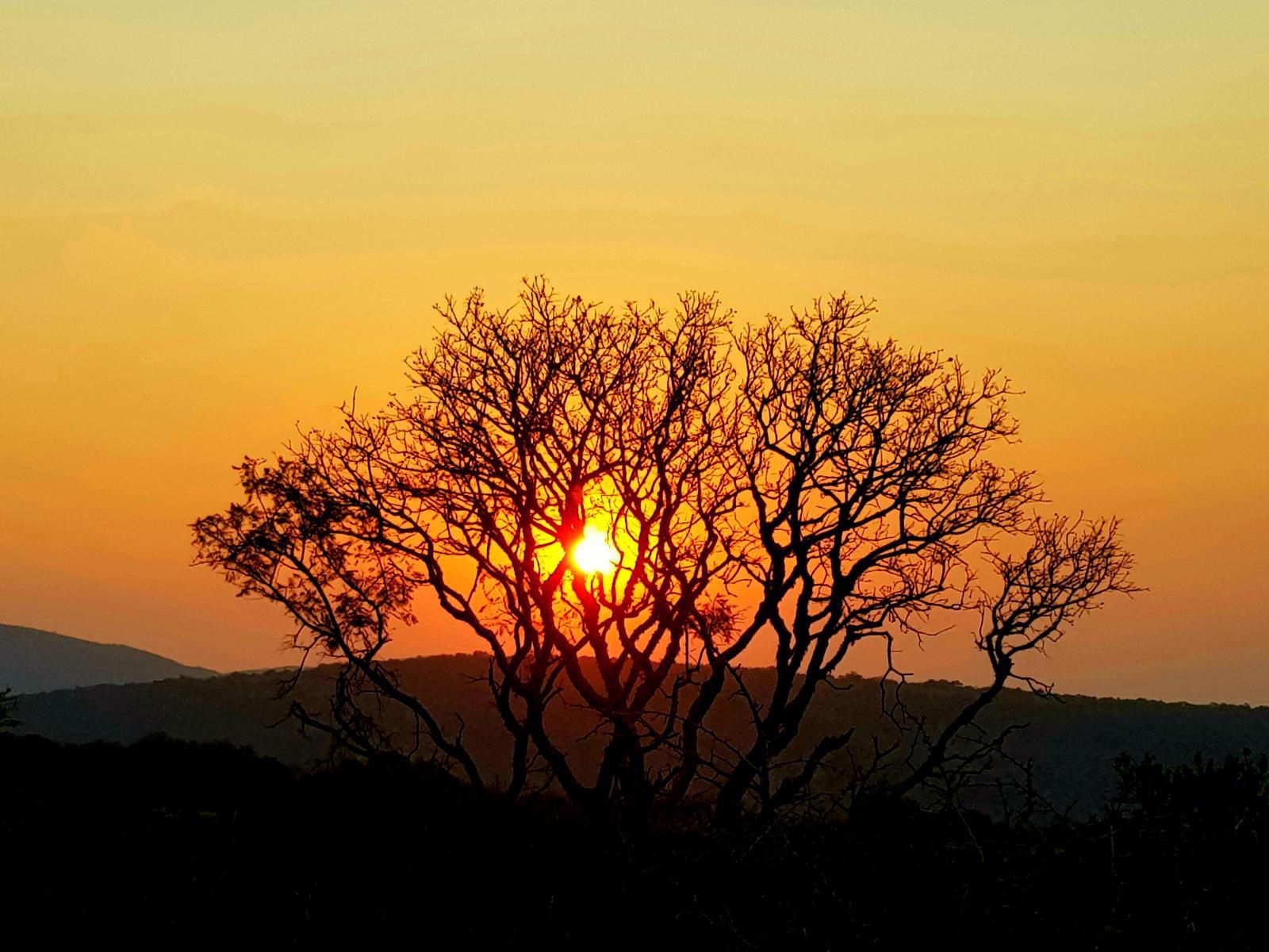 Graceland Eco Retreat, Silhouette, Sky, Nature, Tree, Plant, Wood, Sunset