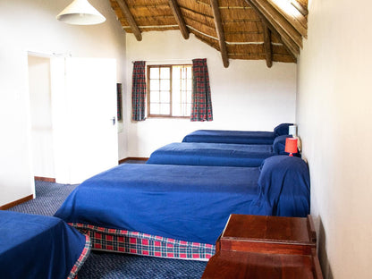 Graceland Farm Underberg Kwazulu Natal South Africa Complementary Colors, Bedroom