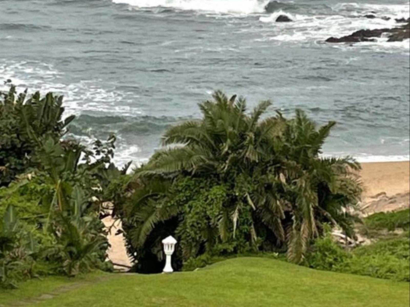 Gracelands Beach Lodge, Beach, Nature, Sand, Cliff, Palm Tree, Plant, Wood, Wave, Waters, Framing, Garden