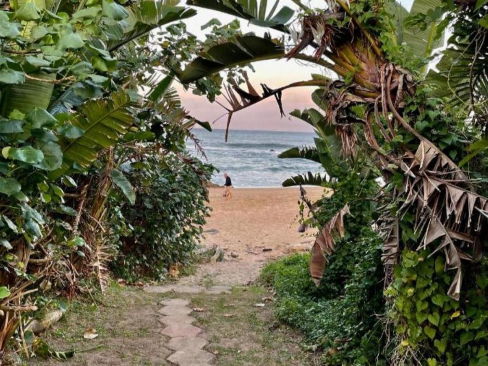 Gracelands Beach Lodge, Beach, Nature, Sand, Palm Tree, Plant, Wood