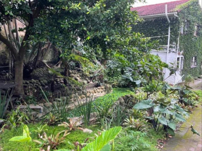 Gracelands Beach Lodge, Palm Tree, Plant, Nature, Wood, Tree, Garden