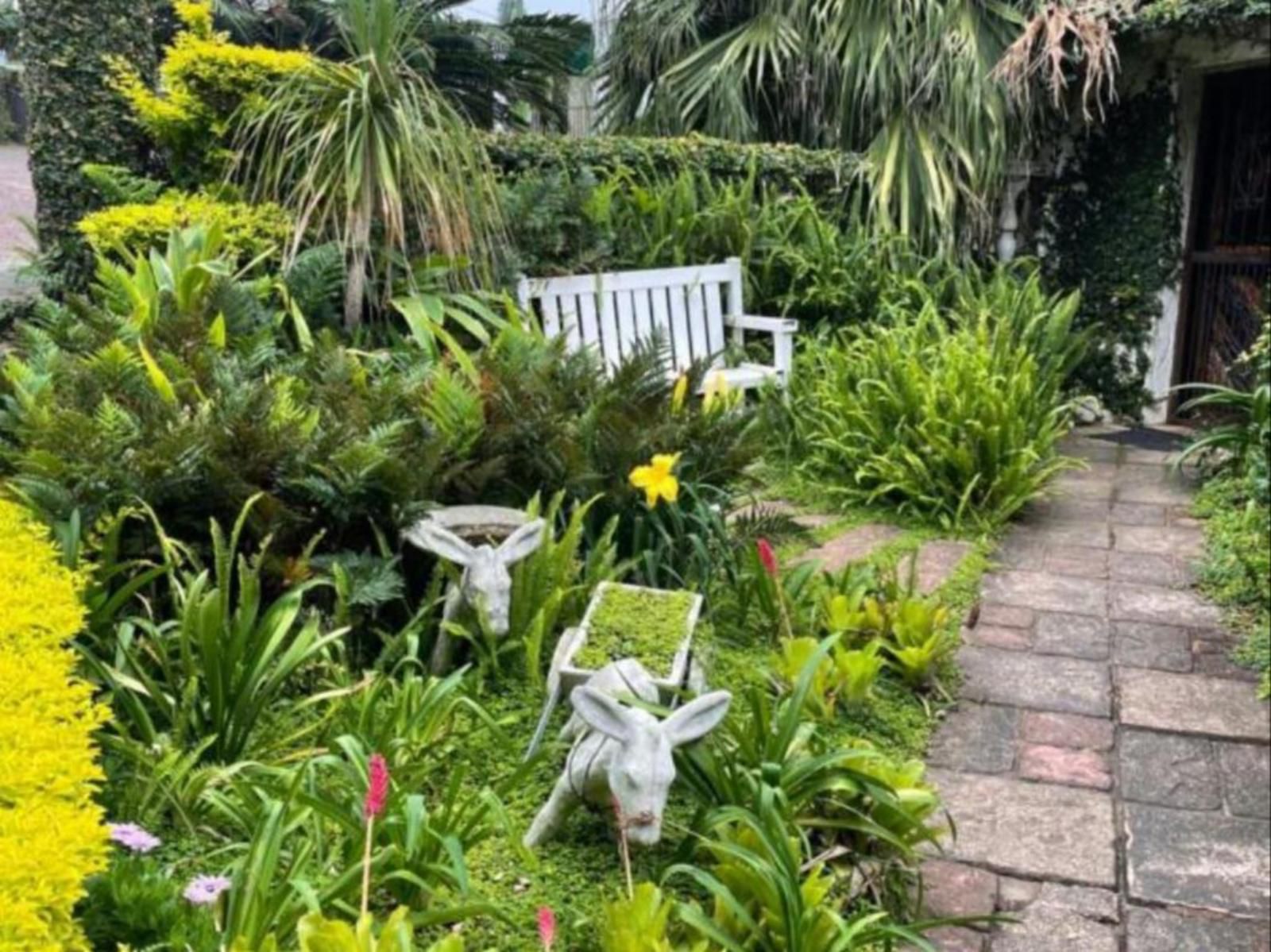 Gracelands Beach Lodge, Palm Tree, Plant, Nature, Wood, Garden