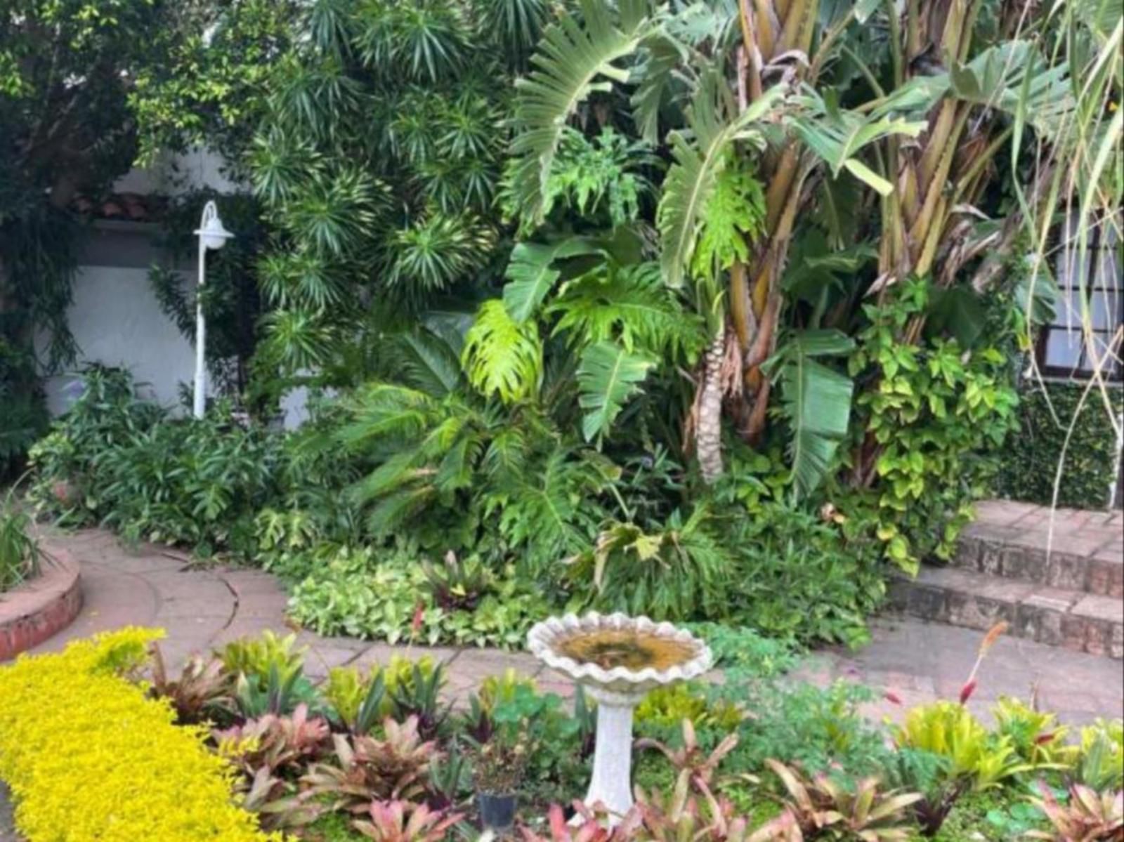 Gracelands Beach Lodge, Palm Tree, Plant, Nature, Wood, Garden