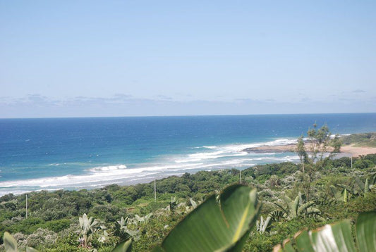 The Little Mantis Beach House Umzumbe Hibberdene Kwazulu Natal South Africa Beach, Nature, Sand, Palm Tree, Plant, Wood