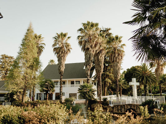 Gracia De Dios Nortons Home Estates Johannesburg Gauteng South Africa House, Building, Architecture, Palm Tree, Plant, Nature, Wood