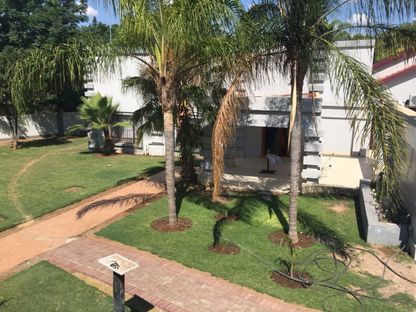 Gracious Lodge Events And Conference Burgersfort Limpopo Province South Africa Palm Tree, Plant, Nature, Wood