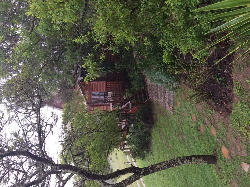 A Stone S Throw Bed And Breakfast Grahamstown Eastern Cape South Africa Plant, Nature, Tree, Wood