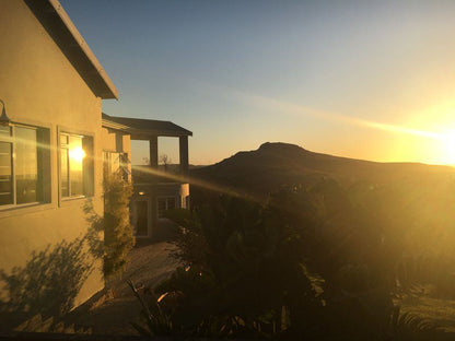 A Stone S Throw Bed And Breakfast Grahamstown Eastern Cape South Africa Palm Tree, Plant, Nature, Wood, Sunset, Sky