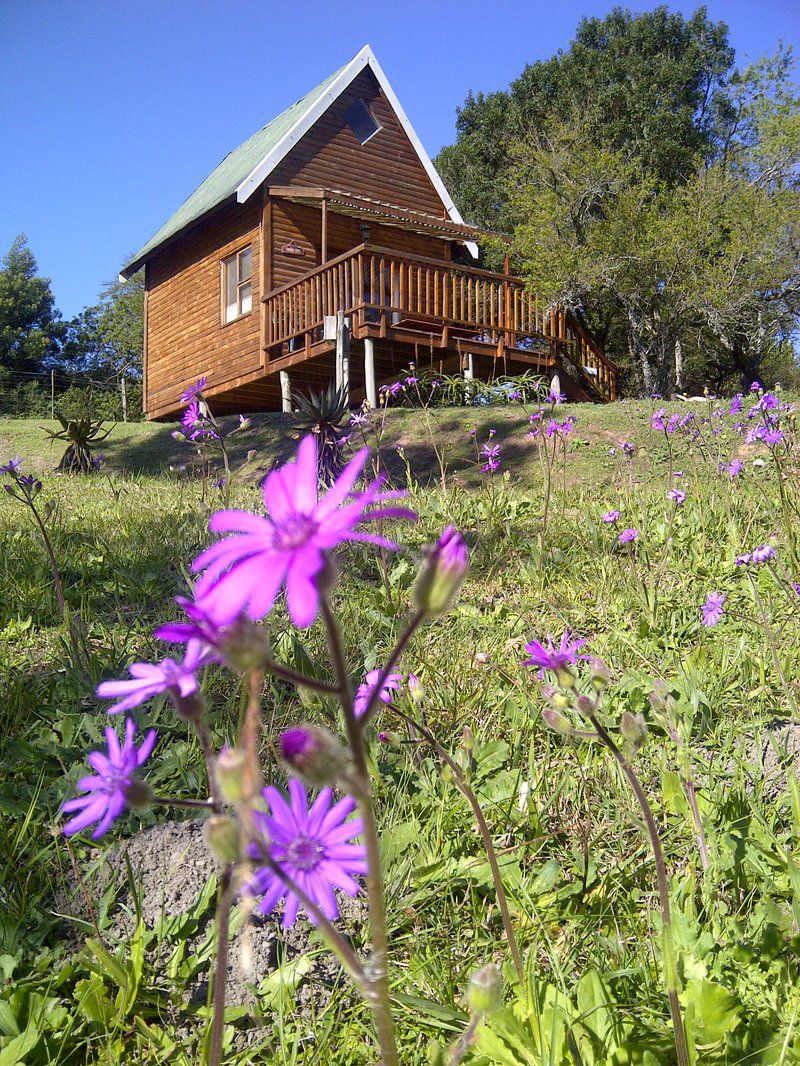 A Stone S Throw Bed And Breakfast Grahamstown Eastern Cape South Africa Complementary Colors, Cabin, Building, Architecture, Plant, Nature