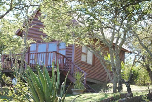 A Stone S Throw Bed And Breakfast Grahamstown Eastern Cape South Africa Building, Architecture, House, Plant, Nature