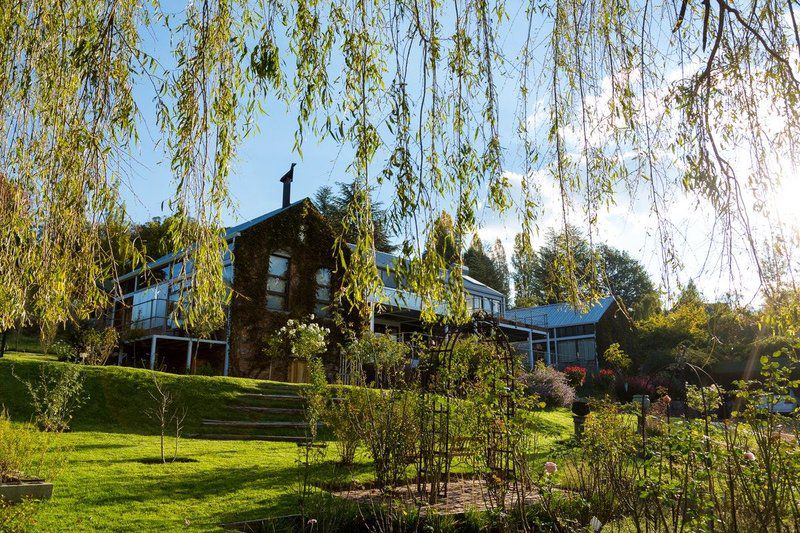 Granaat Clarens Free State South Africa Building, Architecture, House, Tree, Plant, Nature, Wood