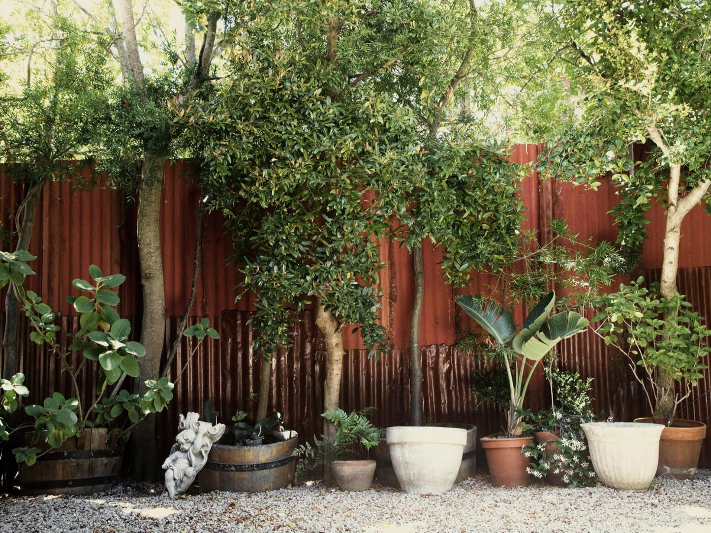 Grand Africa Rooms And Rendezvous Plettenberg Bay Western Cape South Africa Plant, Nature, Garden