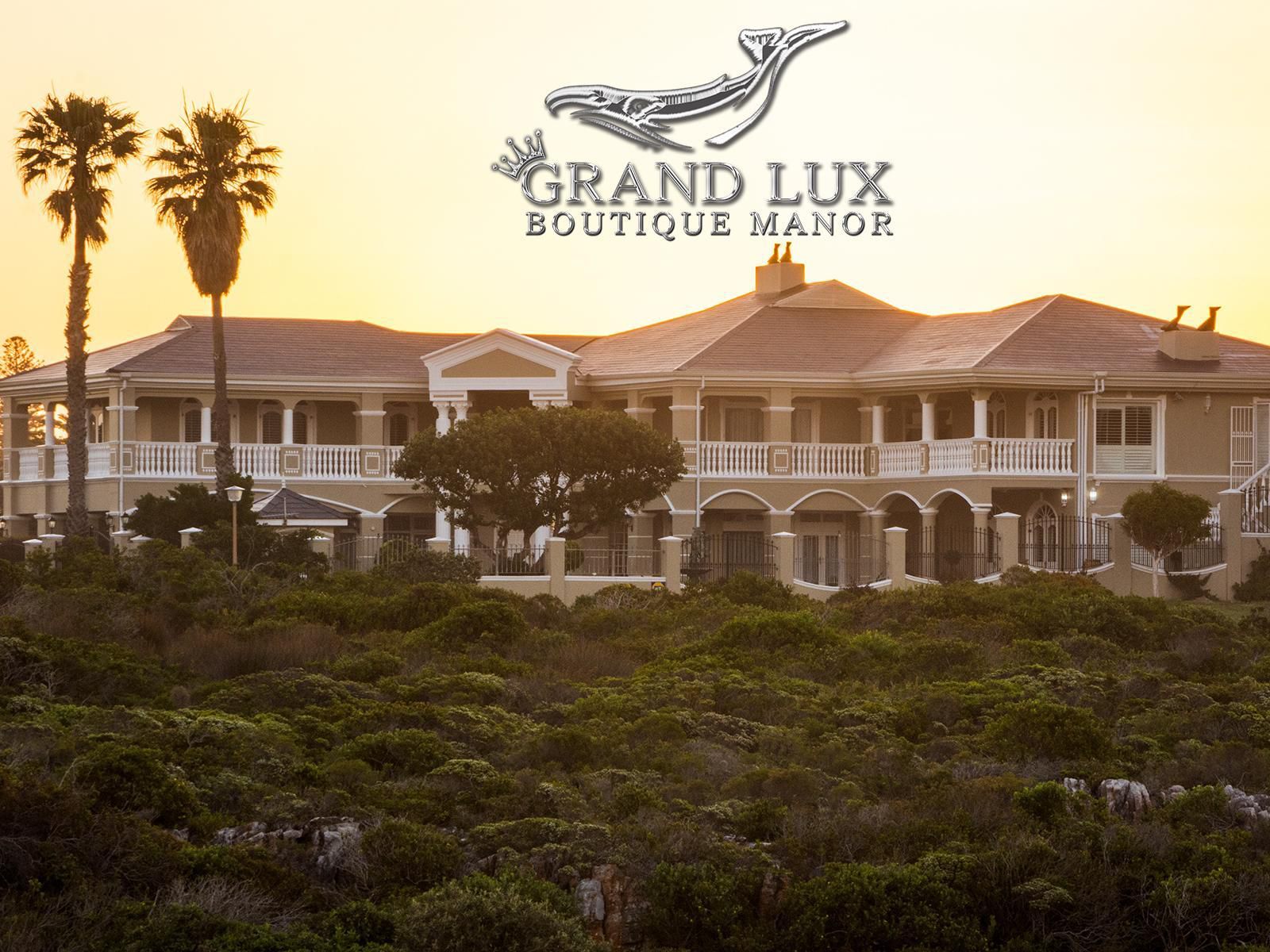 Grand Lux Boutique Manor Westcliff Hermanus Hermanus Western Cape South Africa Sepia Tones, House, Building, Architecture, Palm Tree, Plant, Nature, Wood