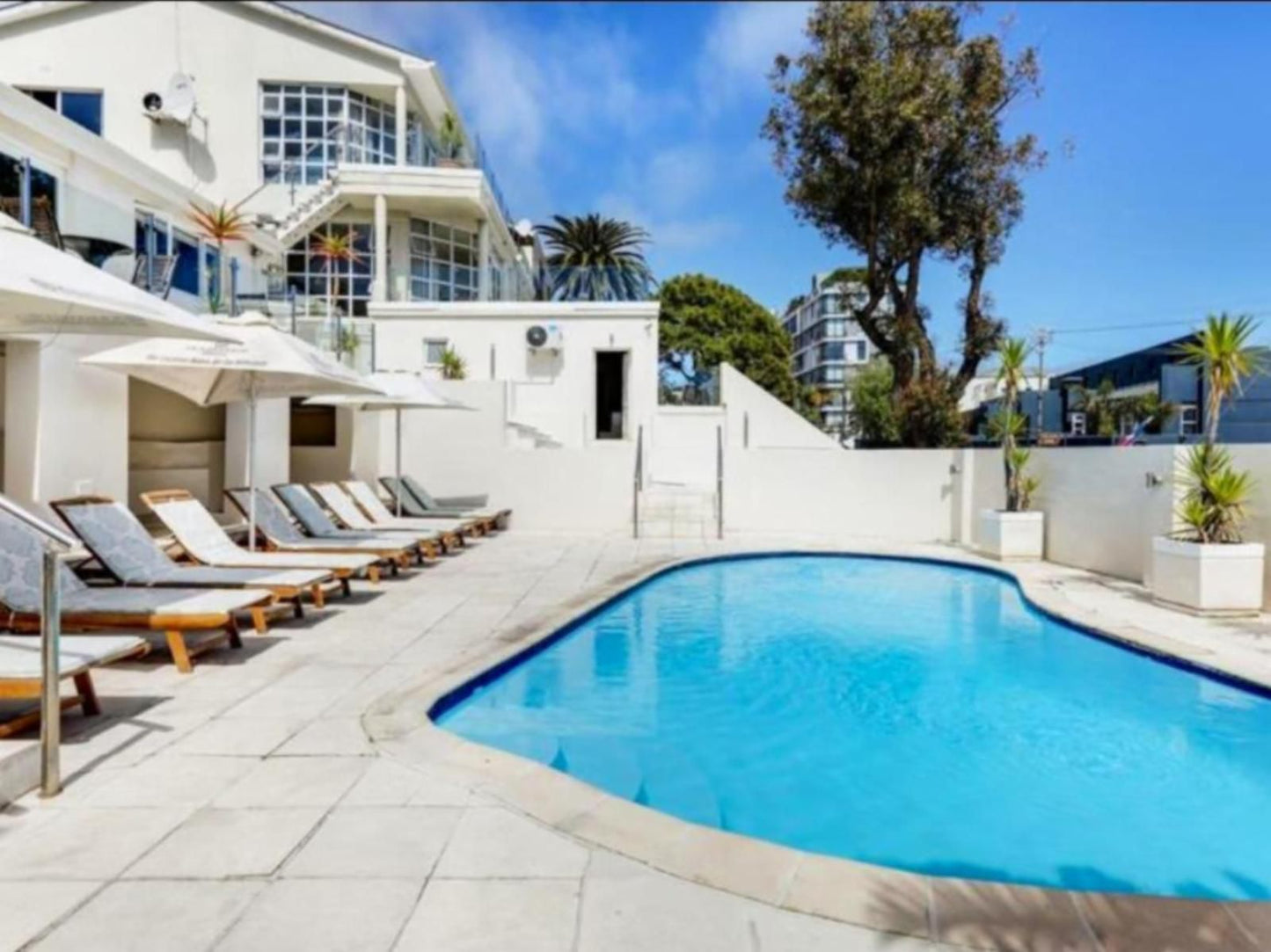 Grande Kloof Boutique Hotel Fresnaye Cape Town Western Cape South Africa Beach, Nature, Sand, House, Building, Architecture, Palm Tree, Plant, Wood, Swimming Pool