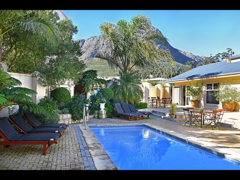 Grande Plaisir Villa Franschhoek Western Cape South Africa House, Building, Architecture, Palm Tree, Plant, Nature, Wood, Garden, Swimming Pool