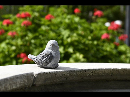 Grande Plaisir Villa Franschhoek Western Cape South Africa Bird, Animal