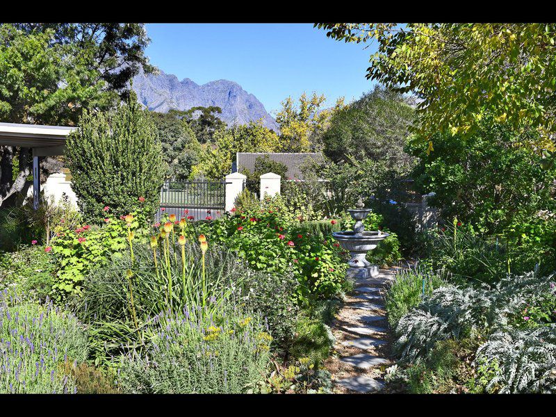 Grande Plaisir Villa Franschhoek Western Cape South Africa Plant, Nature, Garden